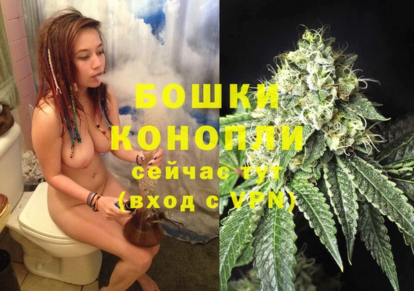 стаф Белоозёрский